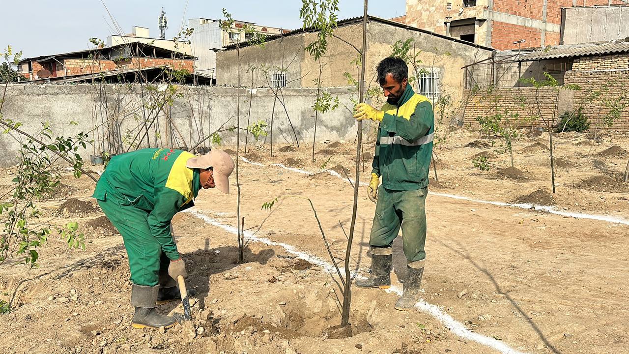 عملیات احداث بوستان وحدت در مساحت 3 هزار...