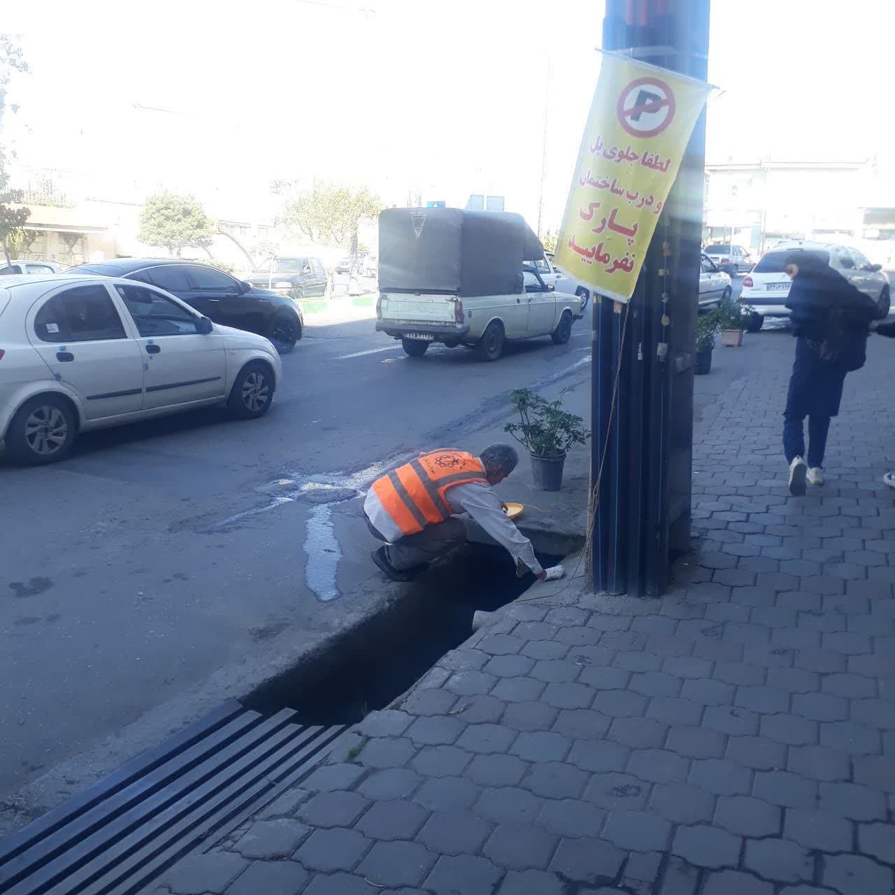 اجرای طرح مبارزه با حیوانات موذی در سطح ...
