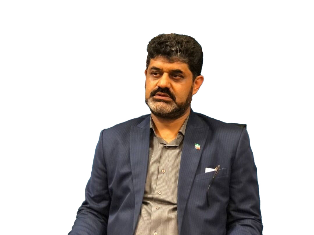 سید محمدرضا سید‌النگی