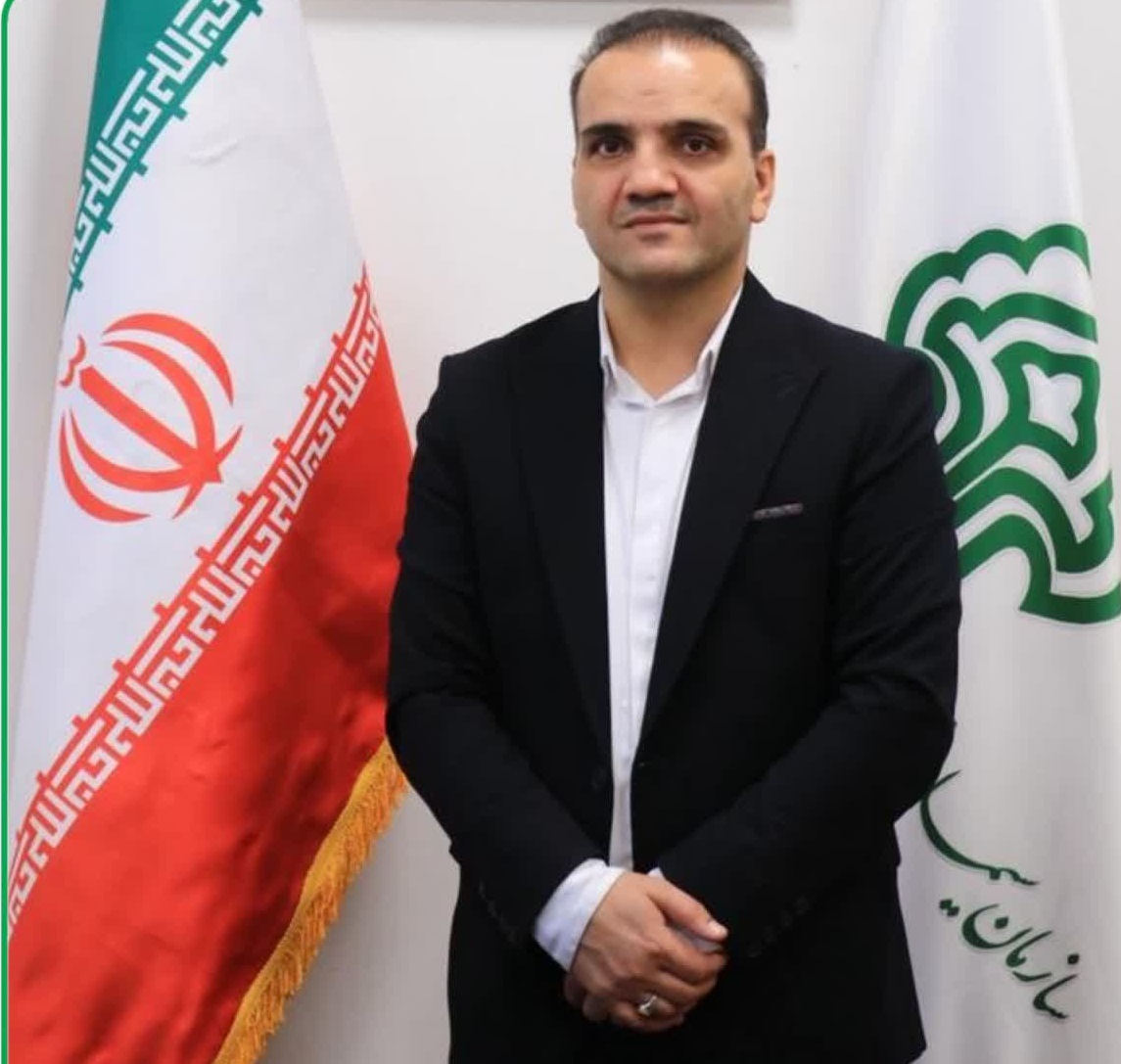 دو اصله درخت پالم خطرساز در عدالت ۶۹ گرگ...