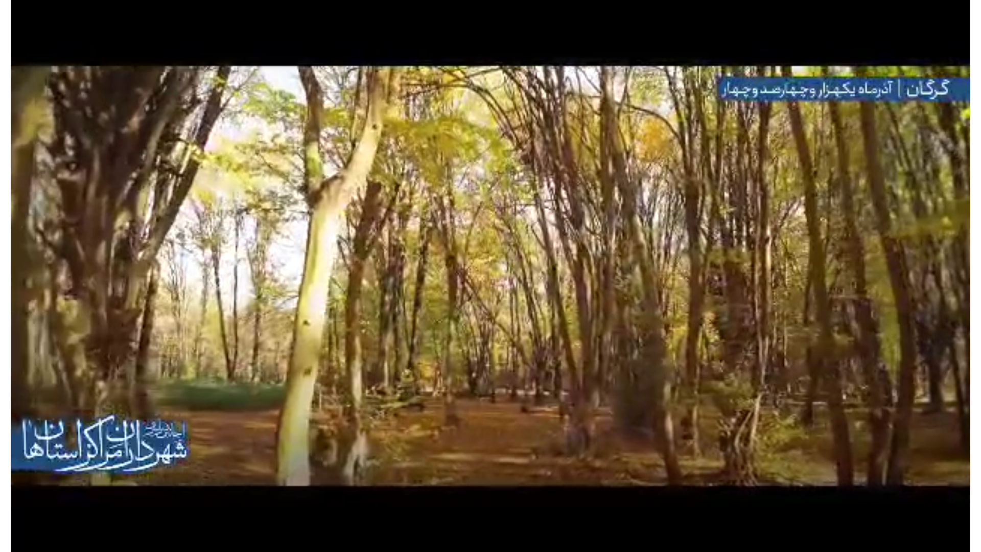 بازدید شهرداران مراکز استان‌ها از پارک جنگلی النگدره گرگان در حاشیه اجلاس سراسری شهرداران مراکز استان‌ها به میزبانی شهرداری گرگان