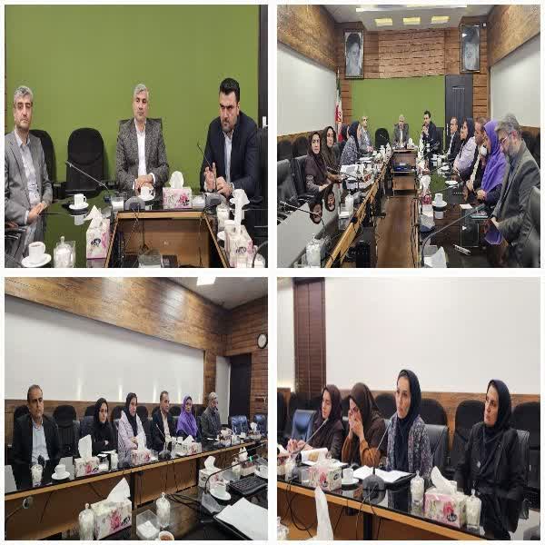 برگزاری جلسه دبیرخانه «شهر دوستدار سالمن...